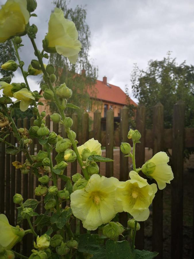 Hof Janne Stapelburg Lägenhet Exteriör bild